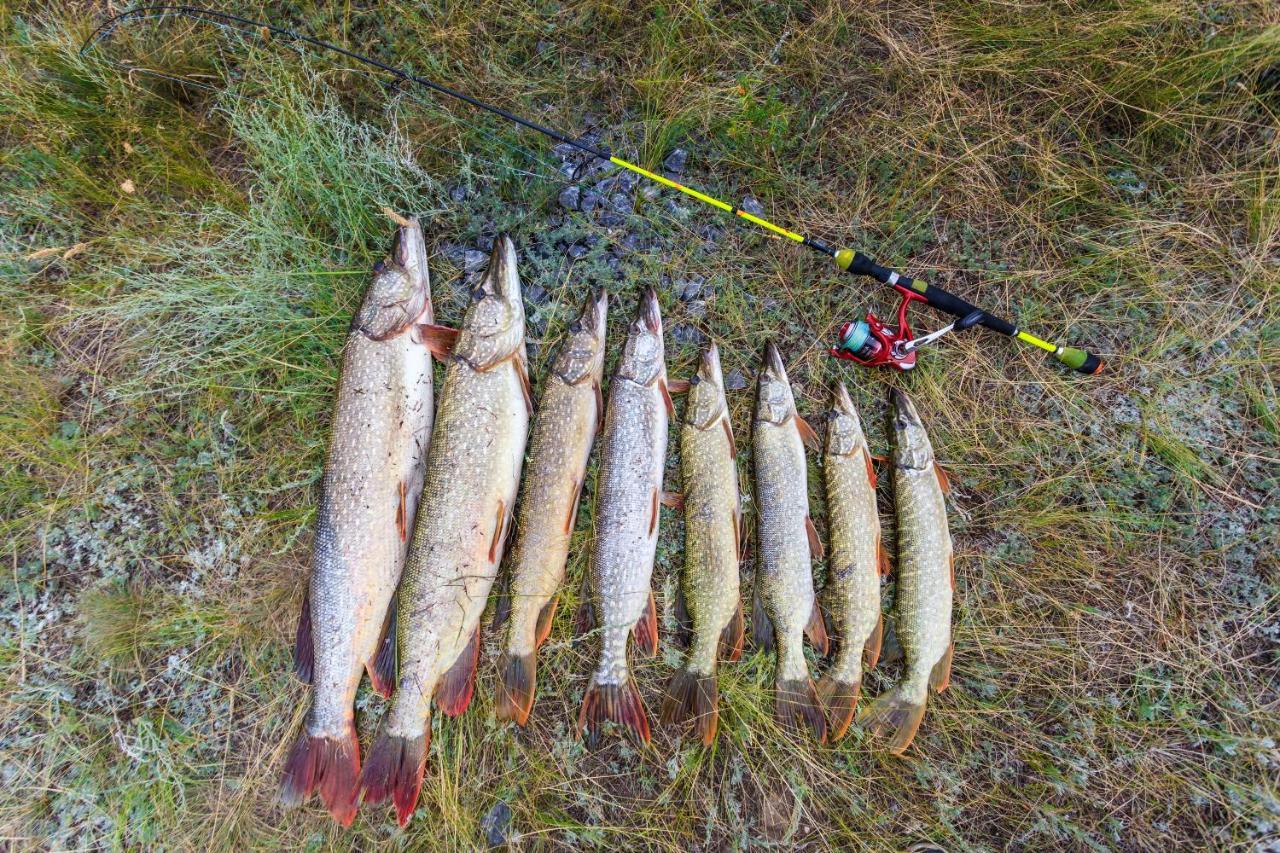 Omeo Clearlake Oaks Glenhaven 外观 照片