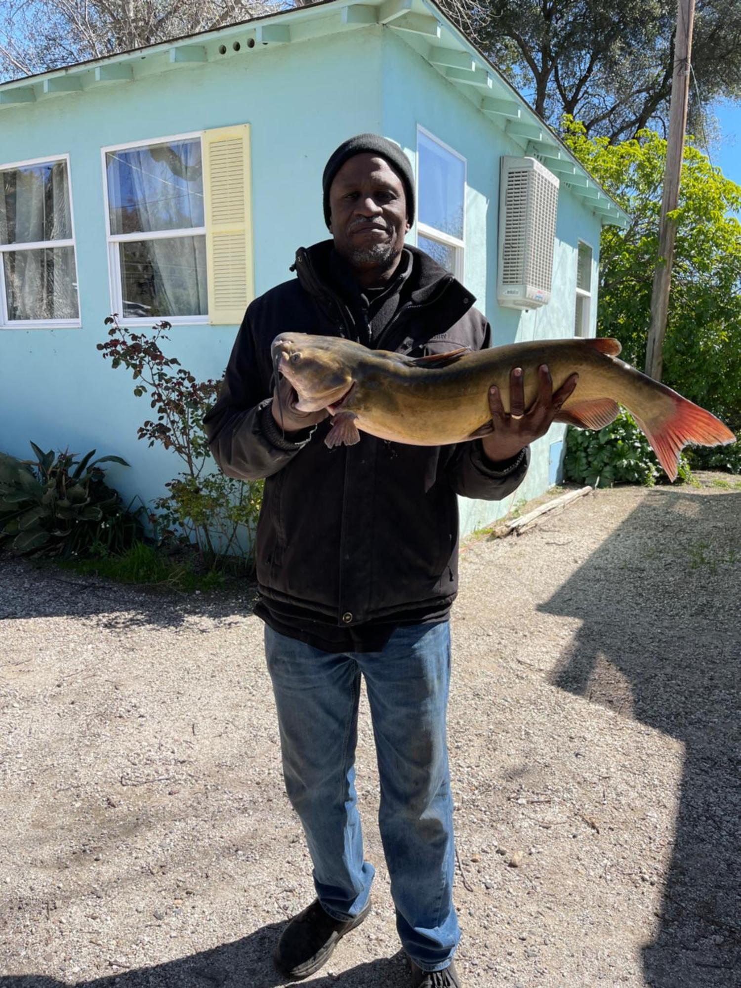 Omeo Clearlake Oaks Glenhaven 外观 照片
